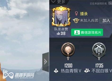 和平精英【锦鲤内核】辅助外挂