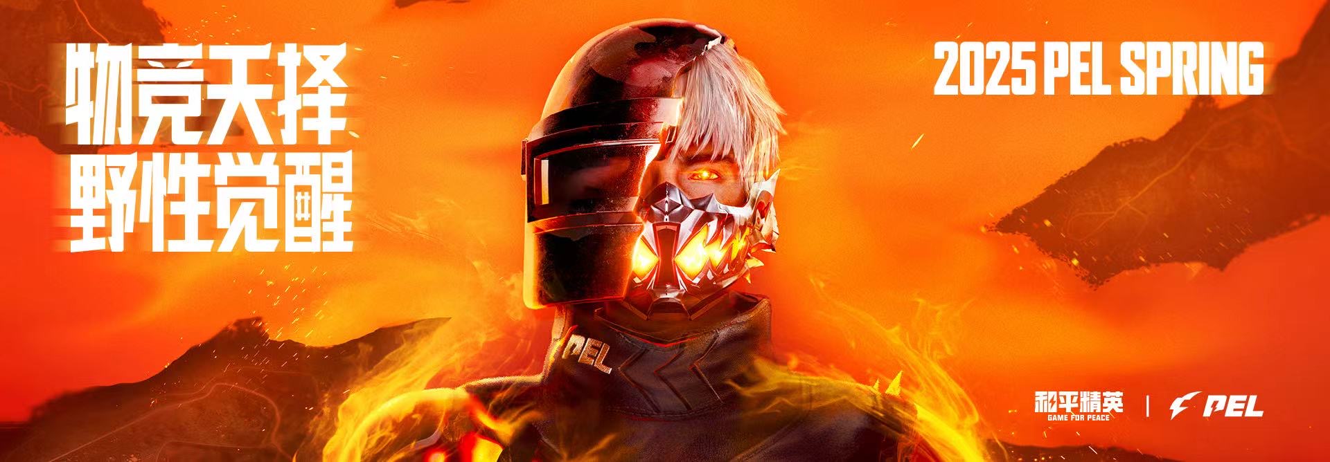 和平精英《火锅》辅助