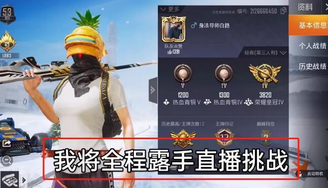 和平精英辅助【火焰鸟一体直装】人物透视 无后坐力 开枪自瞄 开车飞天 飞天跳伞 皮肤美化 物资显示 队伍信息
